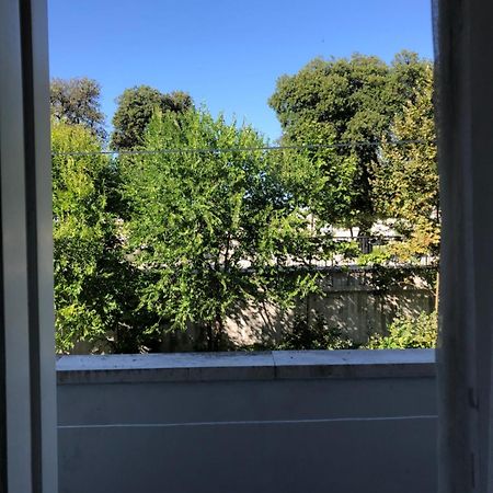 Cozy Apartment Overlooking The City Walls Zadar Bagian luar foto